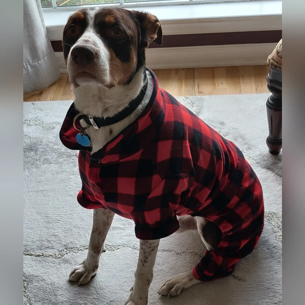 Dog Jammies.